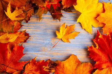 autumn leaf background with plaсe words and inscriptions, copy space (top view)