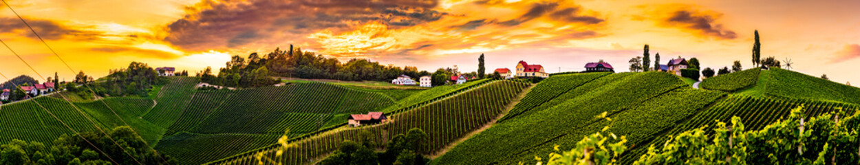 Panorama of vineyards hills in south Styria, Austria