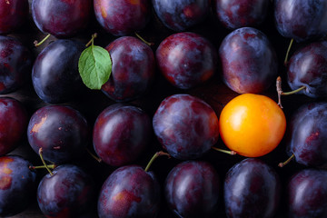 Ripe juicy plums with leaves.