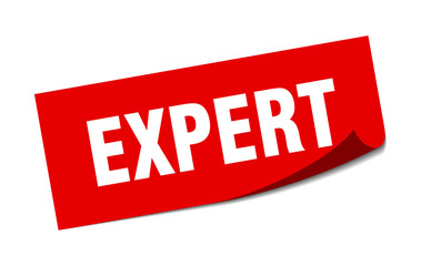 expert sticker. expert square isolated sign. expert