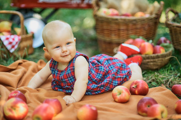 Fototapeta premium Girl with Apple in the Apple Orchard. Beautiful Girl Eating Organic Apple in the Orchard. Harvest Concept. Garden, Toddler eating fruits at fall harvest.