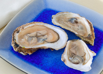 Opened raw oysters on a plate.