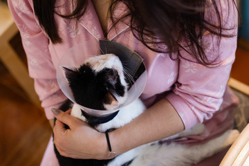 Black-white cat with plastic medical collar in embraces of its owner, top view.