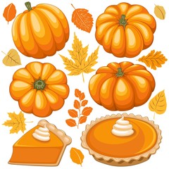 Pumpkins, Pumpkins Pie and Autumn Leaves Vector Elements isolated on white