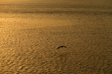 Sonnenuntergang am Meer vor der Küste Australiens