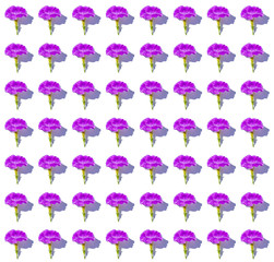 Floral background of lush bright purple petunia flowers, evenly spread out on a white background, in bright contrasting sunlight. Flat lay background in watercolor style.