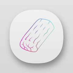 Roast app icon. Butchers meat. Ingredient for lunch. Meat production and sale. Protein source. Butchery business. UI/UX user interface. Web or mobile applications. Vector isolated illustrations