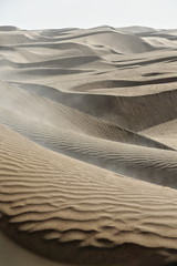 Early morning light over barchans-crescent shaped shifting dunes. Taklamakan desert-Xinjiang-China-0373