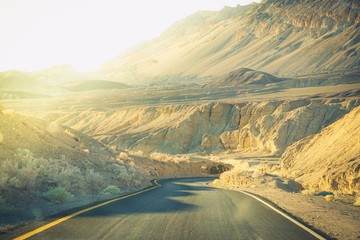 sun glowing on artist's drive