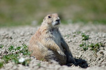 Badlands National Park, South Dakota