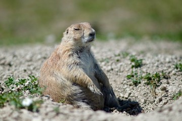 Badlands National Park, South Dakota