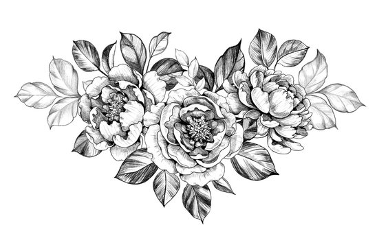Hand drawn Peony Flower with Leaves