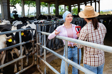 Young positive farm family standing near fencing in cowshed, communicating during break in work