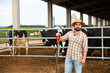 Man farmer standing near cow  on background at  farm outdoor