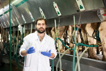 Milkmaid man with fresh milk near automatical cow milking machines