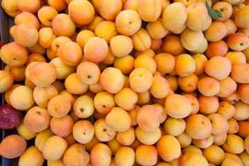 Heap of fresh ripe apricot at local farmers market