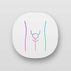 Healthy urinary bladder app icon. Human organ in good health. People wellness. Functioning urinary system. UI/UX user interface. Web or mobile applications. Vector isolated illustrations