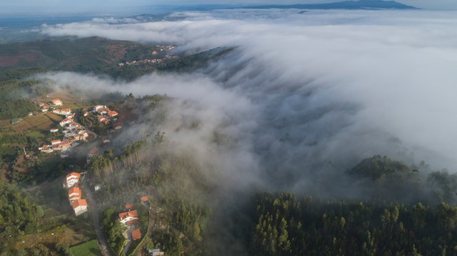 Sea of mist invading the Bussaco Forest.
