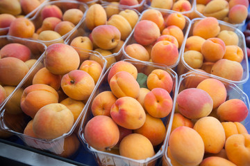 Heap of fresh ripe apricot at local farmers market