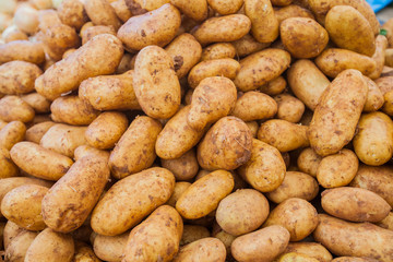 Pile of fresh potato at local farmers market stall