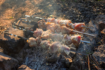 Shish kebab on skewers is fried on a brazier made of stones in the forest.