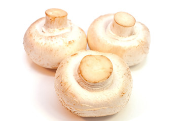 Champignon mushrooms isolated on white