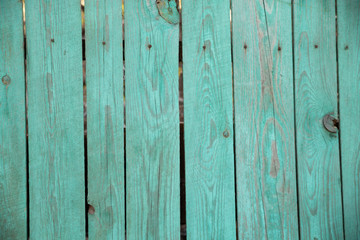 Naklejka premium Texture. Old green painted wooden background. Shabby wood background.