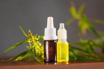 Wellness Hemp Cannabidiol, bottle of CBD oil on cannabis background. Premium marijuana products. Medical cannabis with extract CBD. A place for copy space