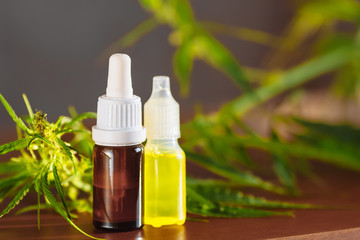 Wellness Hemp Cannabidiol, bottle of CBD oil on cannabis background. Premium marijuana products. Medical cannabis with extract CBD. A place for copy space