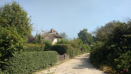 Weg durch die Siedlung in Ahrenshoop mit Vorgärten