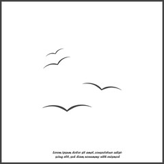 Flock of birds. Bird vector icon on white isolated background.