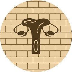 Female Reproductive Syst icon for your project
