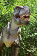 Tyrannosaurus is a genus of coelurosaurian theropod dinosaur. The species Tyrannosaurus rex (rex...