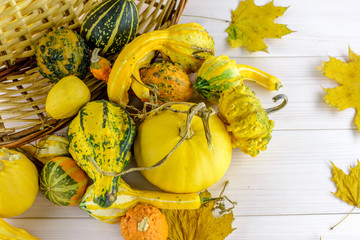 Colorful decorative pumpkins and gourds in a basket in autumn on a wooden table.