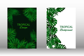 A set of tropic