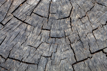 Old Weathered Grayish Cracked Wood Texture