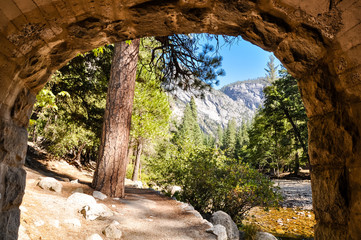 Yosemite Park California under a bridge