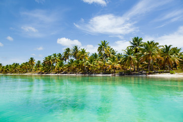 Naklejka na ściany i meble Beautiful tropical beach with white sand, coconut trees and turquoise sea water of the Caribbean on an island in the Dominican Republic. Paradise island for travel and recreation. Panorama copy space