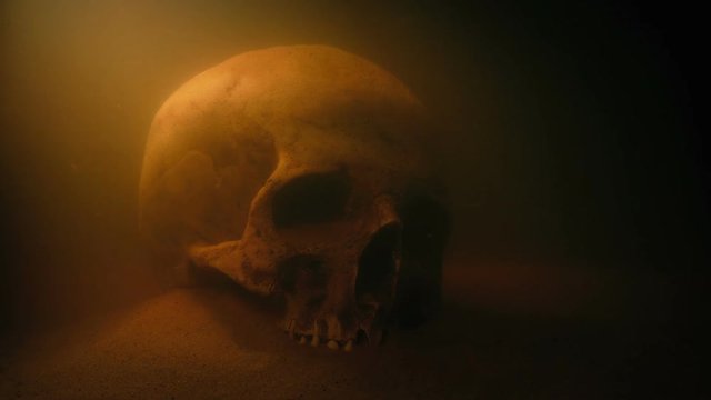 Skull Underwater In The Sand