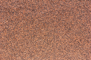 grainy plaster texture (a wall of a house)