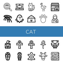 Set of cat icons such as Paw print, Flea, Collar, Haunted house, Cat, Dog food, Ostrich, Animal, Pet shop, Veterinarian, Witch, Sarcophagus, Ankh, Hand puppet, Saber toothed tiger , cat