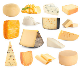 Set of different delicious cheeses on white background