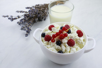 Bowl with cottage cheese and fresh berries on light background