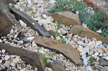 Background of sea pebbles. Natural nature.