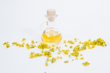 Perforate St John's-wort is very rare and healthy plant