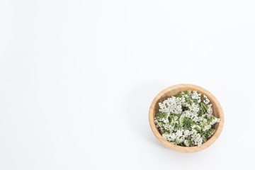 Fresh Yarrows flowers on the white background