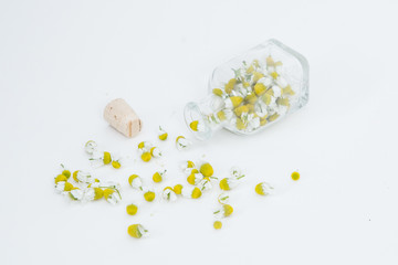 Chamomile flowers with the spoon on the white background