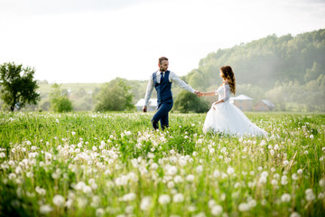 Wide angle shot of a bridal couple standing on a white flowering meadow