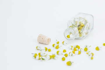 Chamomile flowers with the spoon on the white background