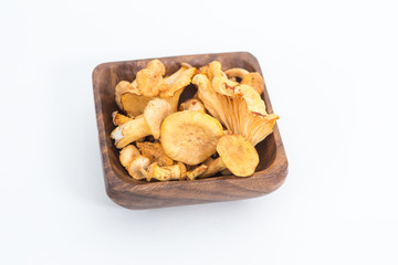 fresh Chanterelle direct from the summer forest